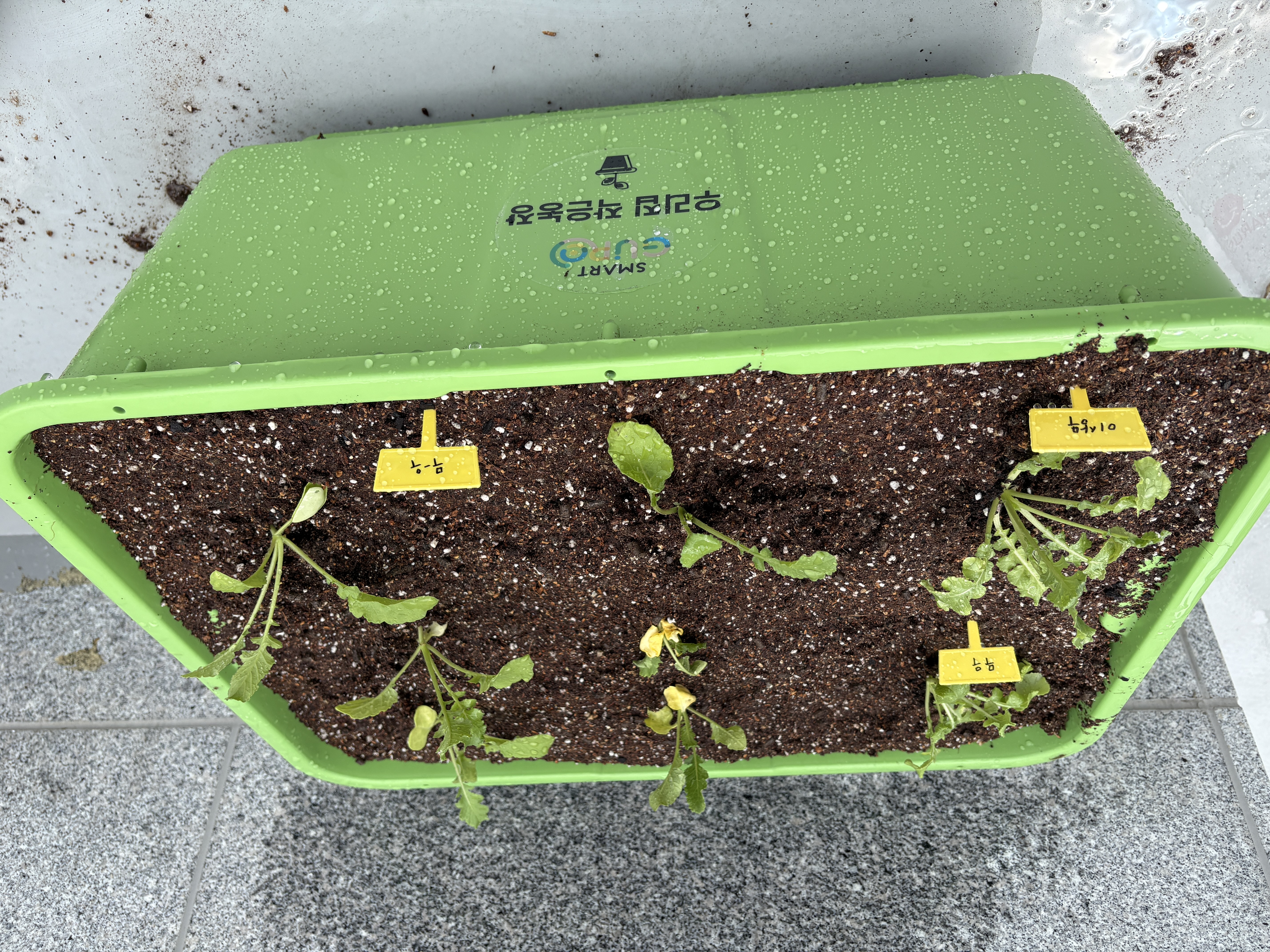 작당 텃밭 프로젝트